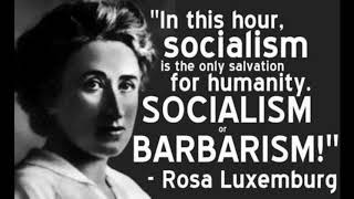 Rosa Luxemburg  In Our Time [upl. by Bohrer]