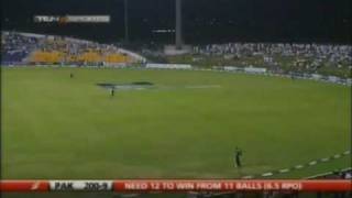 Amir World Record 73 Vs New Zealand  33 [upl. by Akoek]