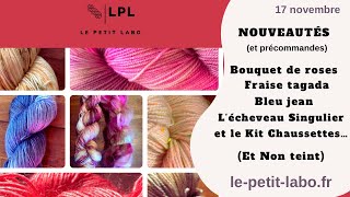 LE PETIT LABO  Nouveaux coloris Kit Chaussettes Novembre le Singulier et gros coup de 💖teinture [upl. by Alleul]