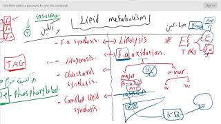 Lipid metabolism  Lec1  introduction [upl. by Kremer]