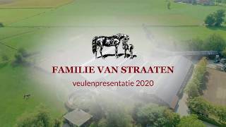 Veulenpresentatie 2020 Familie van Straaten Den Ham [upl. by Bogie]