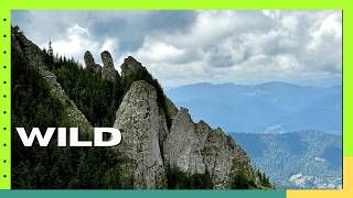 Toaca Varful 🇷🇴 Hiking the Carpathians in Romania Ceahlău Massif Hiking VLOG [upl. by Wira186]