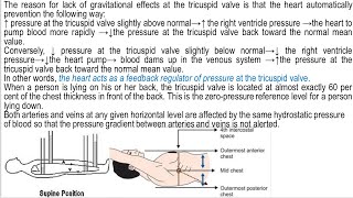 Compliance destinsibilitypulse wave velocity and amplitude wavewindkessel Effect of gravity شرح [upl. by Naus]