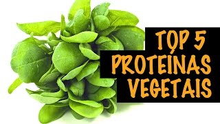 As Melhores Proteínas Vegetais Para Aprimorar a Sua Dieta  Autoridade Fitness [upl. by Onitnevuj37]