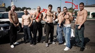 The Diaz Brothers The Biggest Gangsters in combat sports [upl. by Keviv]