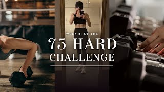 75 HARD  my first week of the internets toughest fitness challenge healthy routines diet amp more [upl. by Ellemrac]