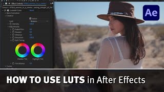 How to use LUTs in After Effects [upl. by Nednal]