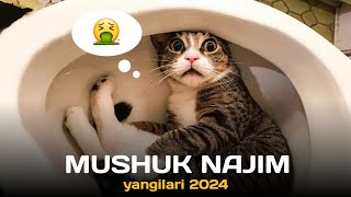 Najim pishak qaytdi Eng yangilari 2024 [upl. by Llien]