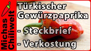 Türkischer Gewürzpaprika  Steckbrief und Verkostung  Chili Sorten  Chilis [upl. by Northington]