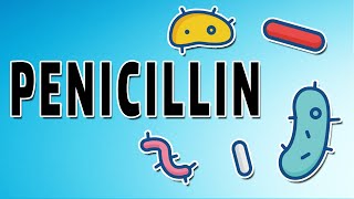 Penicillin Mechanism and Side Effects [upl. by Proudman]