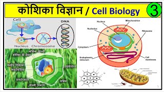 3 कोशिका विज्ञान  Cell Biology  कोशिका क्या है  what is cell  कोशिका के प्रकार  Types of Cells [upl. by Ynnatirb]