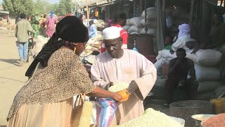 Chadian families hit hard by austerity [upl. by Woodcock]