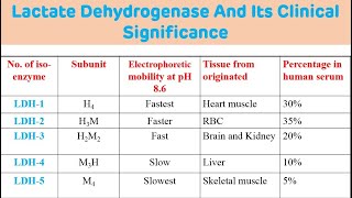 Lactate Dehydrogenase And Its Clinical Significance  LDH Biochemistry [upl. by Soinski]