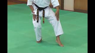 Kyokushin Kata Explanation  Taikyoku Sono NiSan 23 [upl. by Dwan]