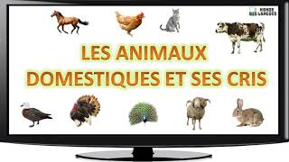 Les animaux domestiques et ses cris [upl. by Aneryc]