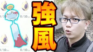 チリーン狙いで卵割り10たま集めてふかさせた結果…【ポケモンGO】 [upl. by Aralk]