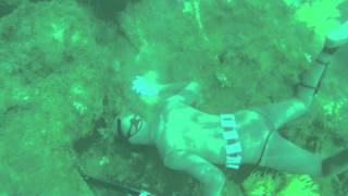 Spearfishing Cabo Blanco [upl. by O'Hara]