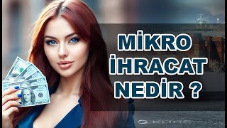 MİKRO İHRACAT NEDİR VE NASIL YAPILIR [upl. by Nnylaf]