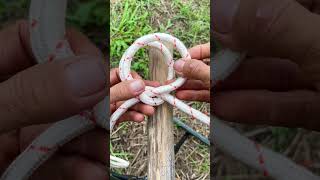 The python knot is particularly useful for tying long objects knot knottying shorts [upl. by Gine]