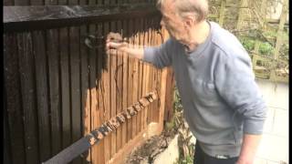 Preserve Your Wooden Fence With Engine Oil Part 1 [upl. by Ednutabab282]