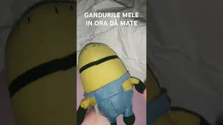 GANDURILE MELE LA ORA foryou funny romanian video tiktok memes [upl. by Raskind]