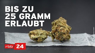 CannabisLegalisierung DAS sieht das Gesetz vor [upl. by Kelwin929]