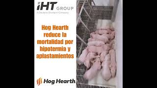 Hog Hearth la Placa de Calefacción Más Eficiente del Mundo [upl. by Wolff]