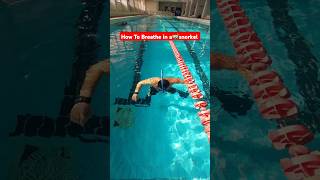 Wach How To Breathe in a Snorkel 🤿 by down syndrome swimmer [upl. by Ealasaid995]