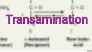 Transamination Biochemistry [upl. by Fita]