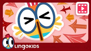 CARTOONS FOR KIDS  Giving DIRECTIONS ⬆️⬇️ Lingokids [upl. by Boorman]