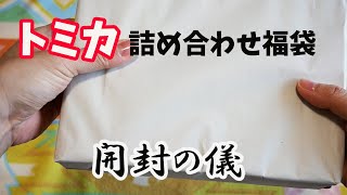 【福袋2021】ミニカーでお馴染みのトミカ詰め合わせ福袋開封動画 [upl. by Amerigo]