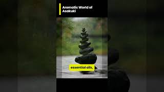 Enhance Relaxation tools Aromatic world of Asakuki Essential Oils [upl. by Elcarim]