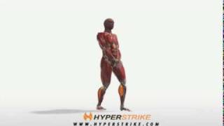 Exercise Videos DeepCalf Stretch [upl. by Ivgnout]