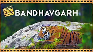 Teaser  Bandhavgarh Tiger Reserve  4K Video Hindi  हिन्दी [upl. by Ahsit]