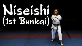 Bunkai For The first Sequence In Niseishi  Minute Karate [upl. by Akcemat831]