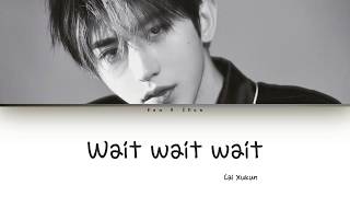 Cai Xukun 蔡徐坤  Wait Wait Wait Lyrics [upl. by Garold174]