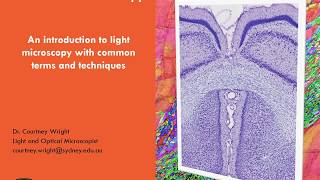 Intro to Light Microscopy 1 Microscopy Basics [upl. by Mathilda]