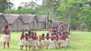 Origens  Aldeia Indigena Yawanawa [upl. by Sochor]