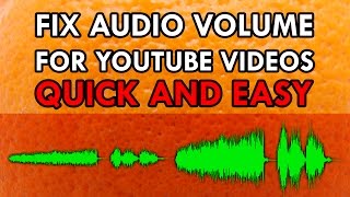 Simple Way to Fix Audio Volume of Your Youtube Videos Audacity  Levelator [upl. by Spillihp]