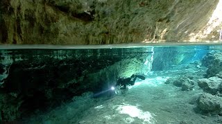 The Blind Cavefish  JONATHAN BIRDS BLUE WORLD [upl. by Nyasuh]