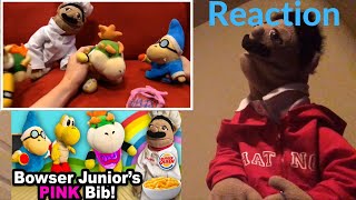 SML Movie Bowser Juniors Pink Bib Reaction Puppet Reaction [upl. by Ellissa]