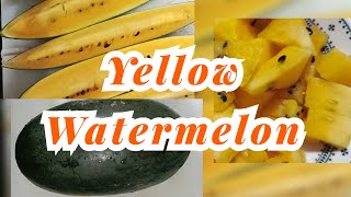 ASMR WATERMELON YELLOW SLICING YUMMY watermelonyellowyummyslicing [upl. by Australia]