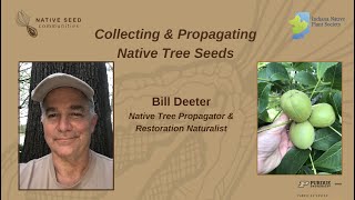 Collecting amp Propagating Native Tree Seeds [upl. by Anade]