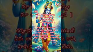 9 Slokam and meaning in bagavathgeetha lyrics telugu trending bagavathgeetha motivation life [upl. by Stock]