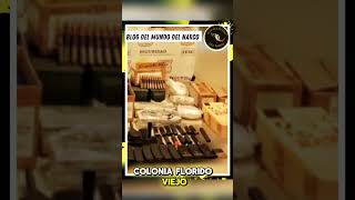 Decomisan arcenal noticias cds cosasdeculiacan video elmayo ultimahora nuevoleon noticias [upl. by Bent]