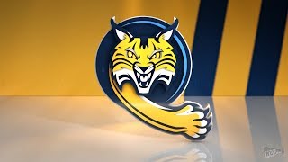 Quinnipiac University Bobcats 201819 Goal Horn [upl. by Aicital818]