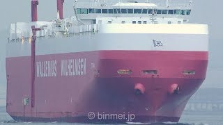 TITANIA  Wallenius Wilhelmsen vehicles carrier  June 2018 [upl. by Assillam84]