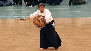 Okinawan Kobudo Ryukyu Kobujutsu  42nd Japanese Kobudo Demonstration 2019 [upl. by Yard]