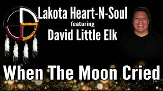 David Little Elk  When The Moon Cried song and story  Lakota HeartNSoul [upl. by Atteynad]