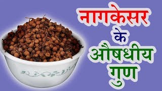 नागकेसर के औषधीय गुण  Health Benefits Of Nagkesar [upl. by Willette]